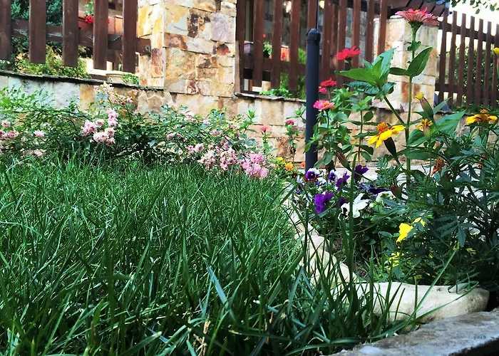 Top Lodge Apartments